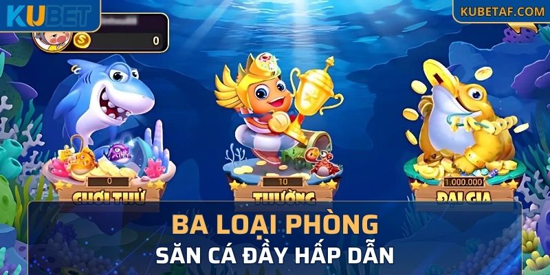 Ba loại phòng săn cá đầy hấp dẫn