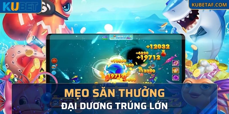 Mẹo săn thưởng đại dương trúng lớn